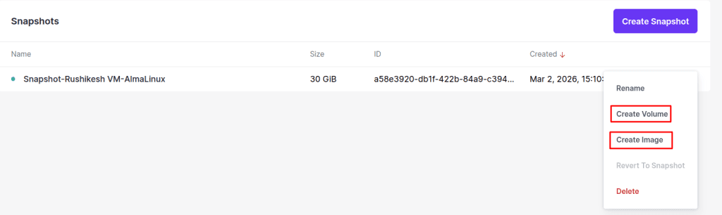 Creating a New Virtual Machine (VM) Using a Snapshot of a Volume ...